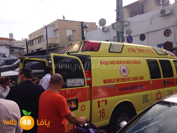 ta3n shejar 7sanbek (2).JPG